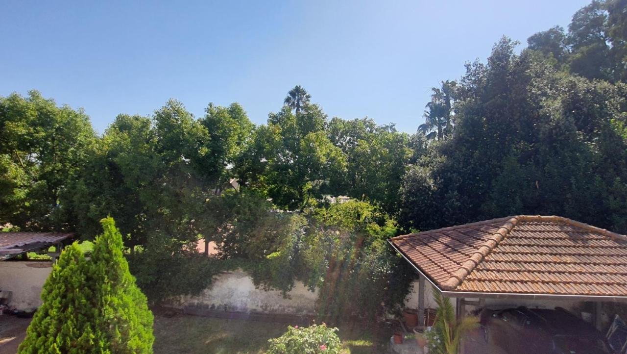 B&B Tenuta Di Vado Piano Nella Selva Di Circe Cerasella Bagian luar foto